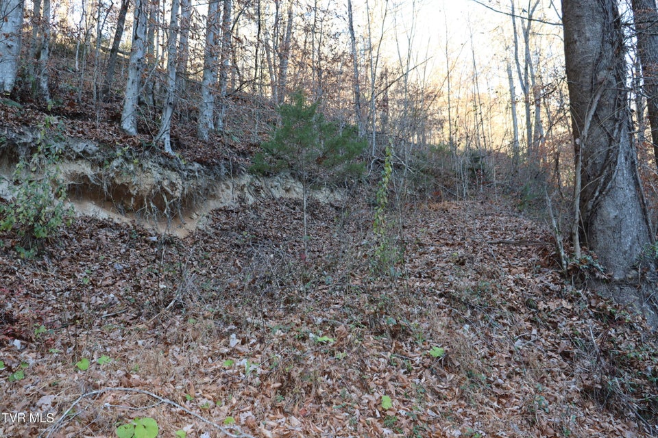 Photo #30: Tbd Sulphur Springs Road