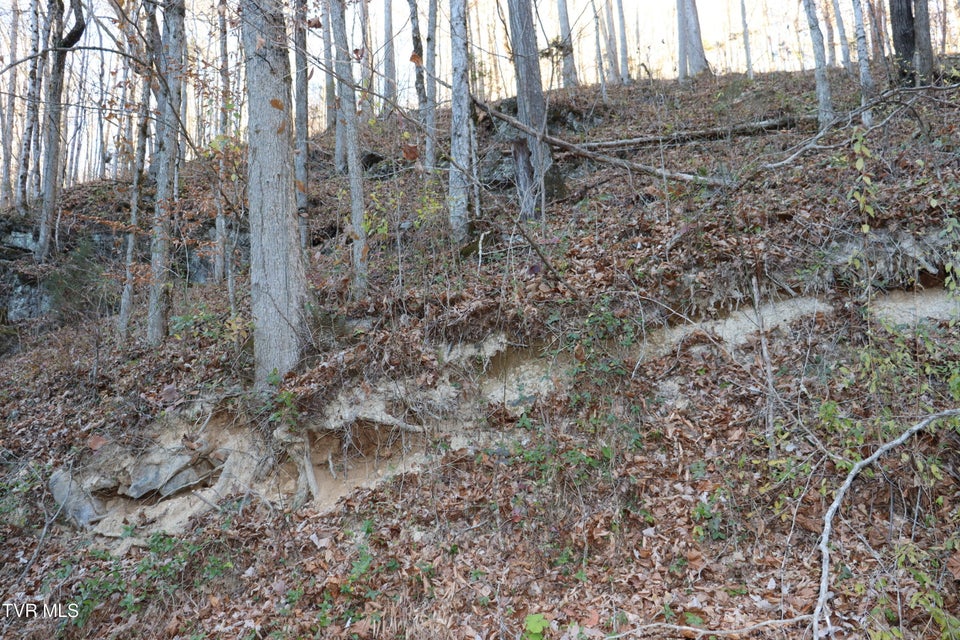 Photo #31: Tbd Sulphur Springs Road