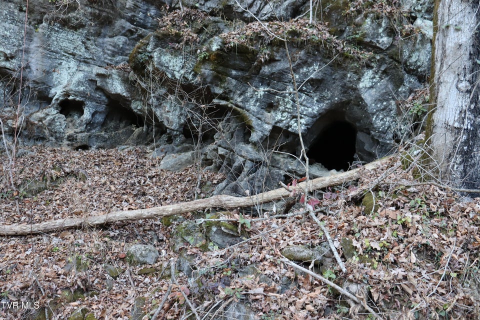 Photo #33: Tbd Sulphur Springs Road