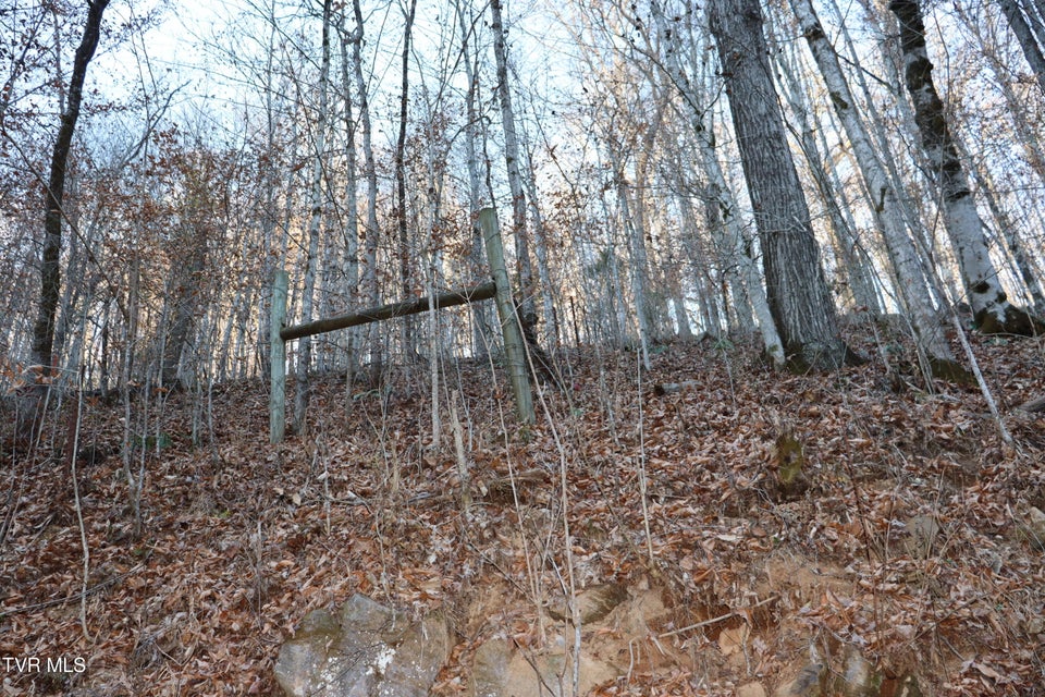 Photo #27: Tbd Sulphur Springs Road