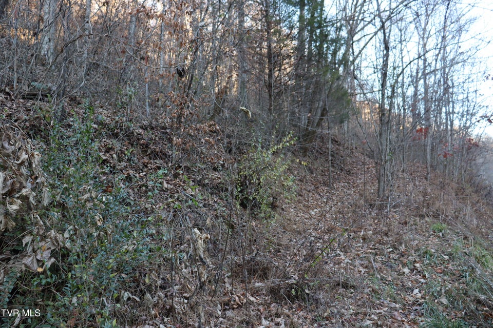 Photo #28: Tbd Sulphur Springs Road