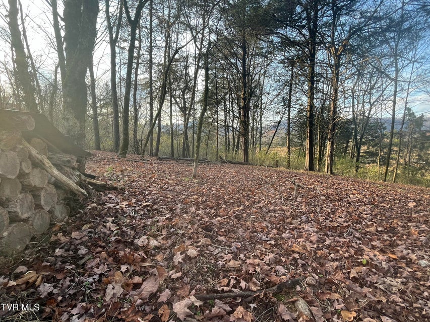 Photo #5: Tbd Hill Station Alley Rd. 