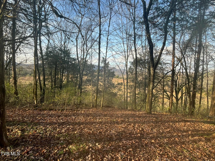 Photo #6: Tbd Hill Station Alley Rd. 