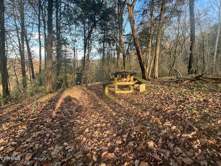 Photo #7: Tbd Hill Station Alley Rd. 