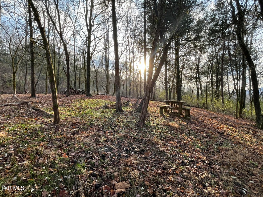 Photo #9: Tbd Hill Station Alley Rd. 