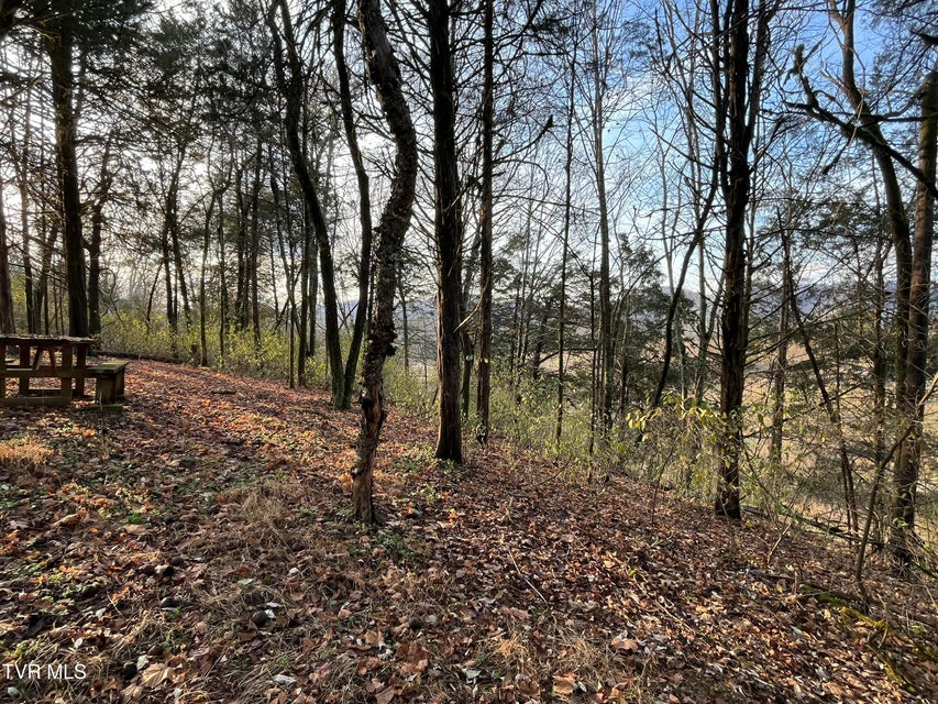 Photo #10: Tbd Hill Station Alley Rd. 