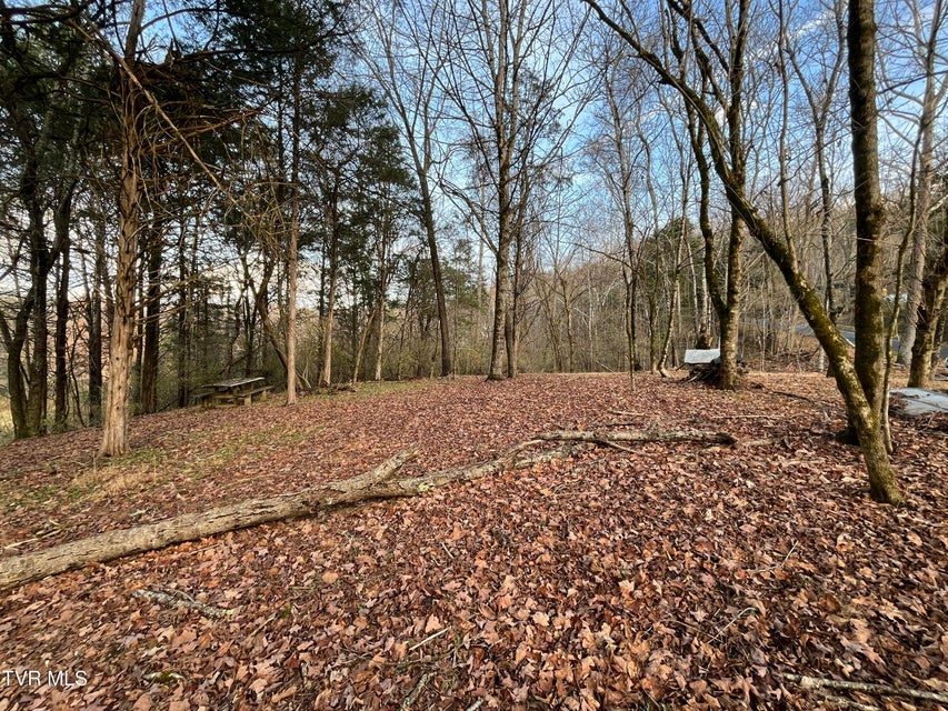 Photo #11: Tbd Hill Station Alley Rd. 