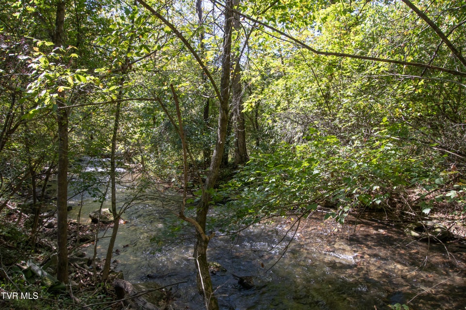 Photo #11: 203 Hilltop Drive