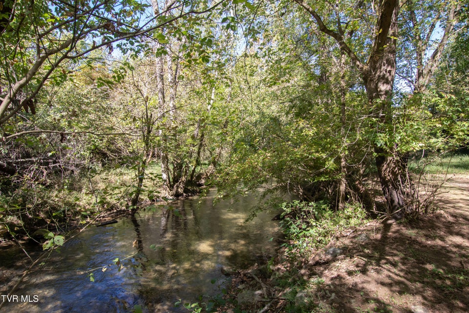 Photo #12: 203 Hilltop Drive