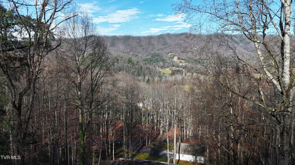 Photo #2: 591 Deer Haven Road