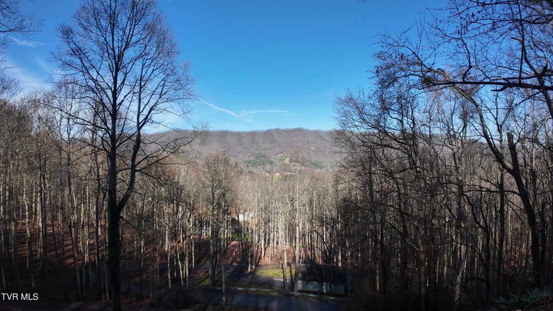 Photo #51: 591 Deer Haven Road