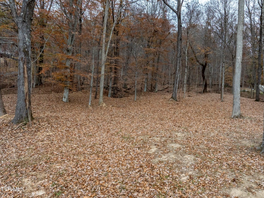 Photo #2: 211 Rocky Branch Road