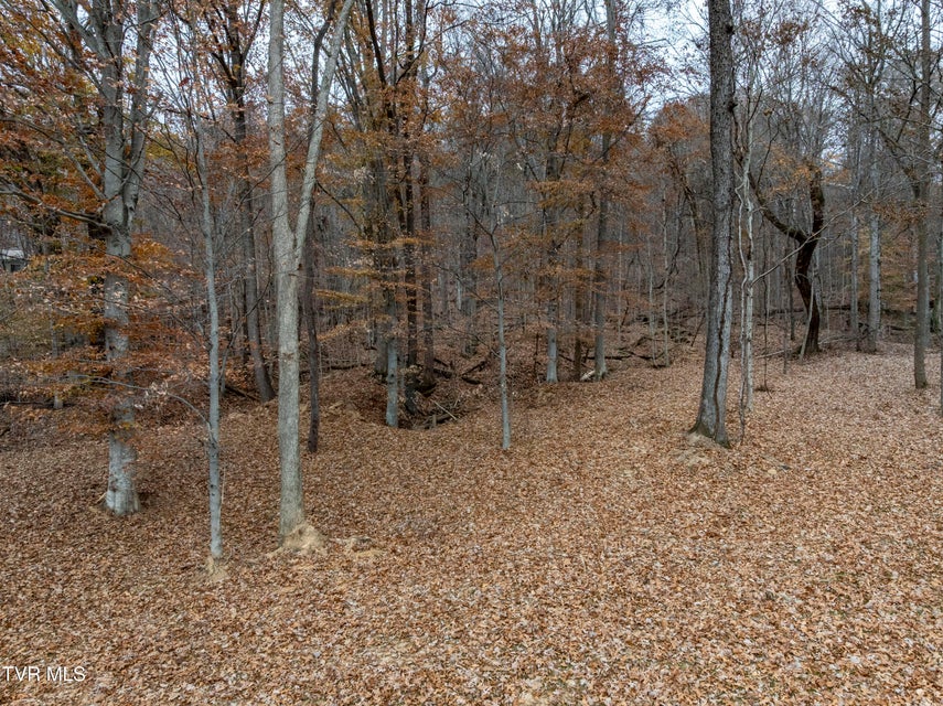 Photo #3: 211 Rocky Branch Road