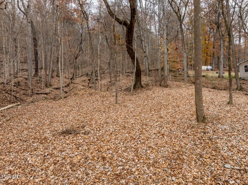 Photo #5: 211 Rocky Branch Road