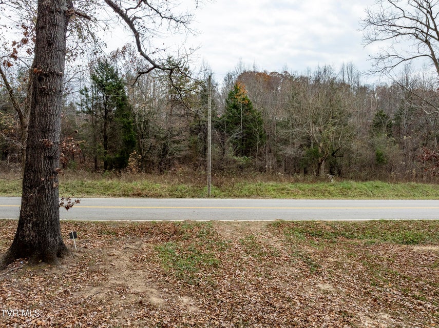 Photo #7: 211 Rocky Branch Road