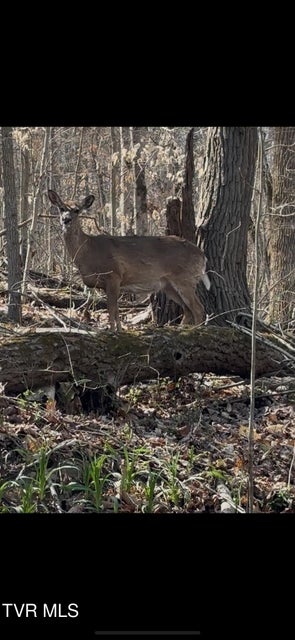 Photo #21: 1658 Echo Court