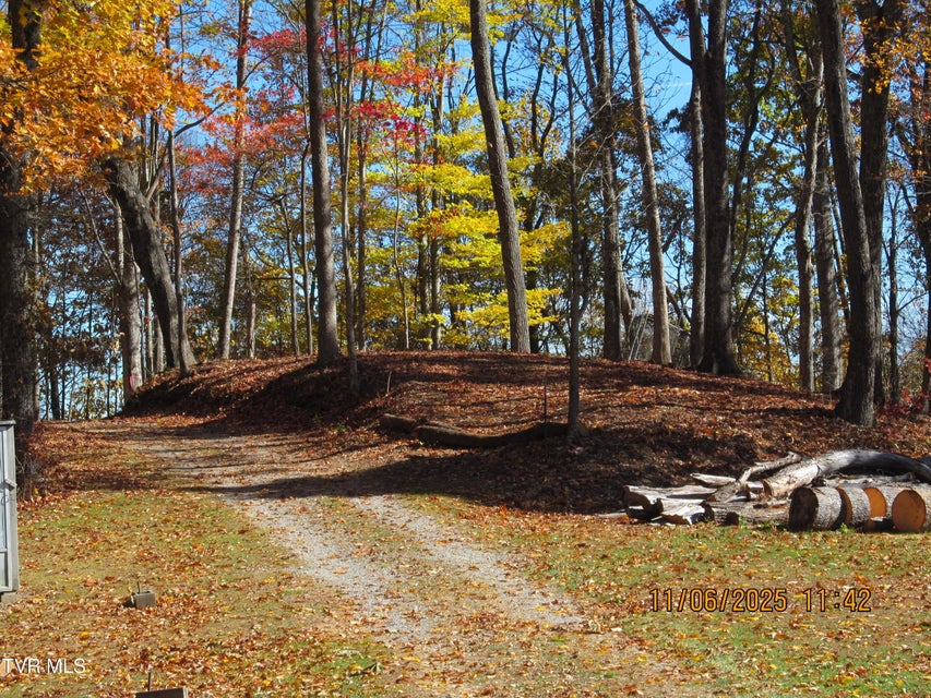 Photo #10: 282 Siesta Lodge Drive