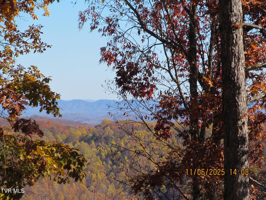 Photo #30: 282 Siesta Lodge Drive