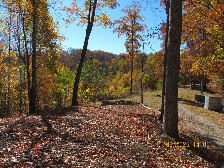 Photo #31: 282 Siesta Lodge Drive