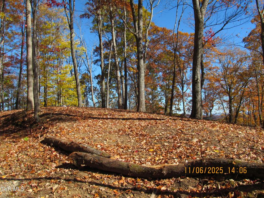 Photo #32: 282 Siesta Lodge Drive