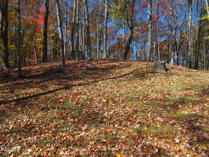 Photo #33: 282 Siesta Lodge Drive