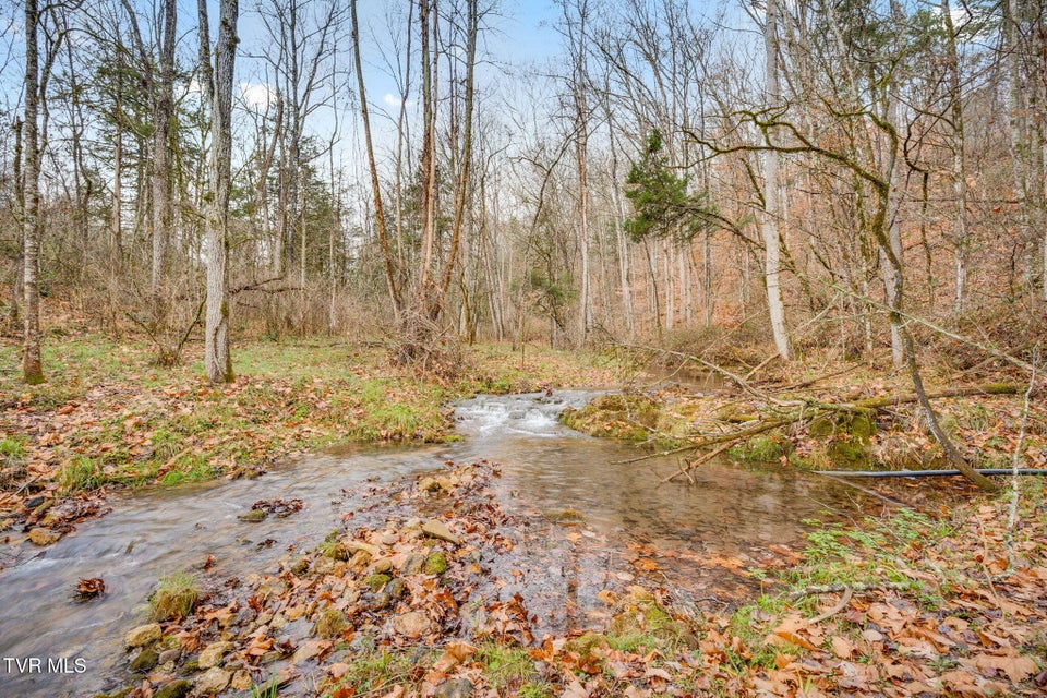 Photo #5: 2309 Shaver Ford Road