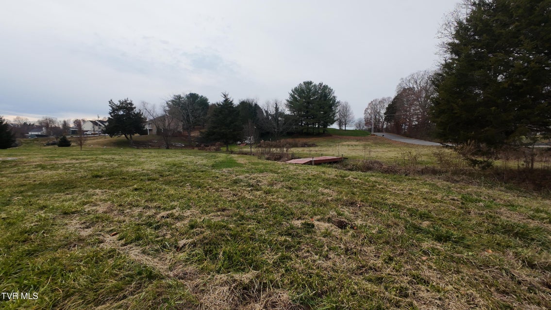 Photo #4: Tbd Elmer Walker Road