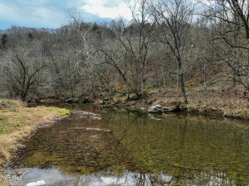 Photo #37: 3478 Reed Hollow Road