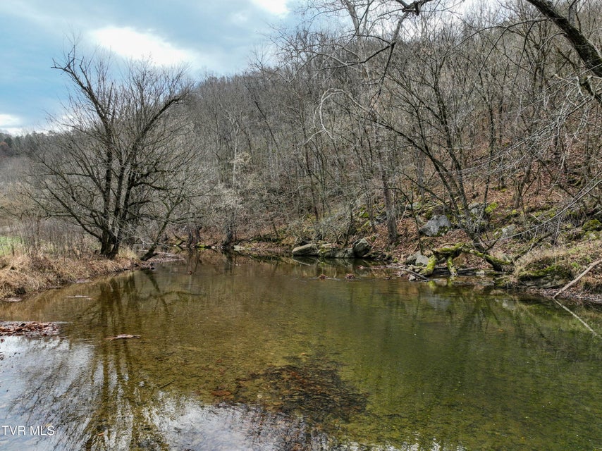 Photo #38: 3478 Reed Hollow Road