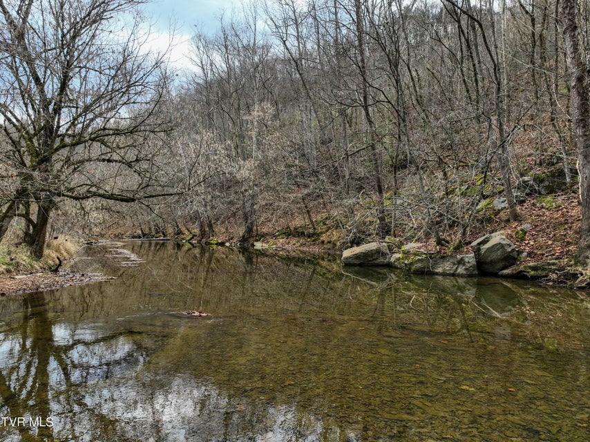 Photo #39: 3478 Reed Hollow Road