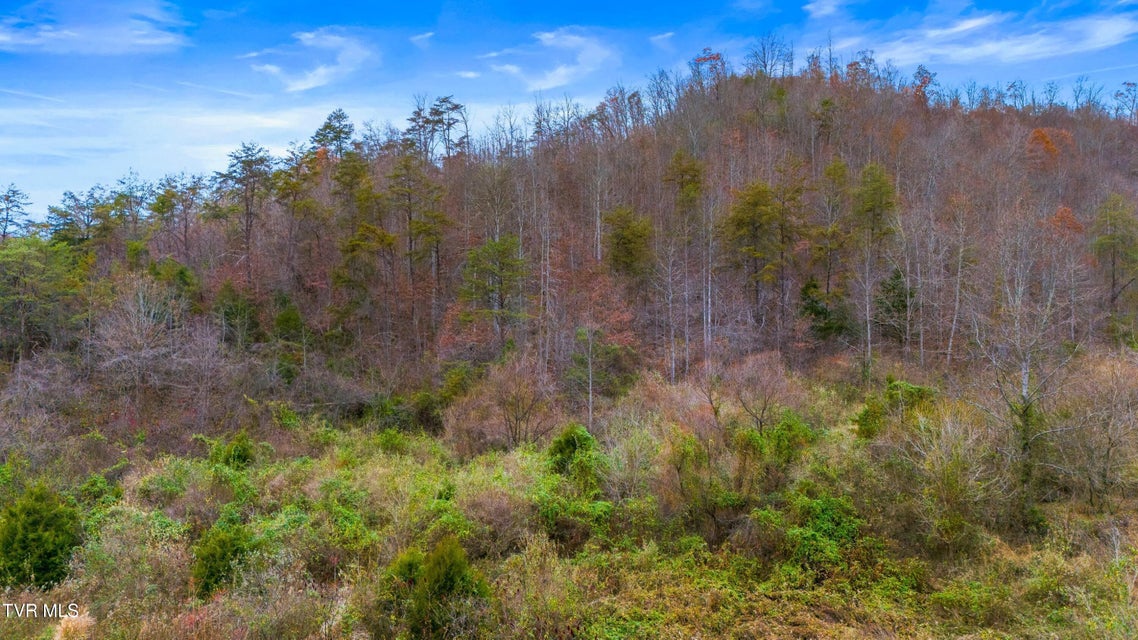 Photo #10: 661 E Pumpkin Valley Rd 