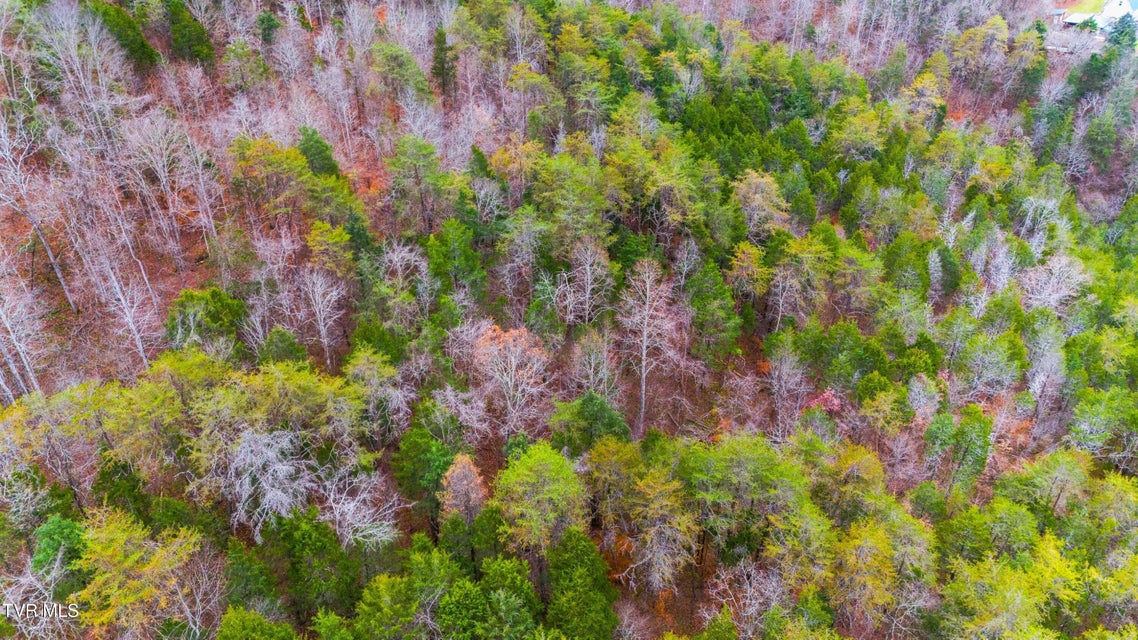 Photo #17: 661 E Pumpkin Valley Rd 