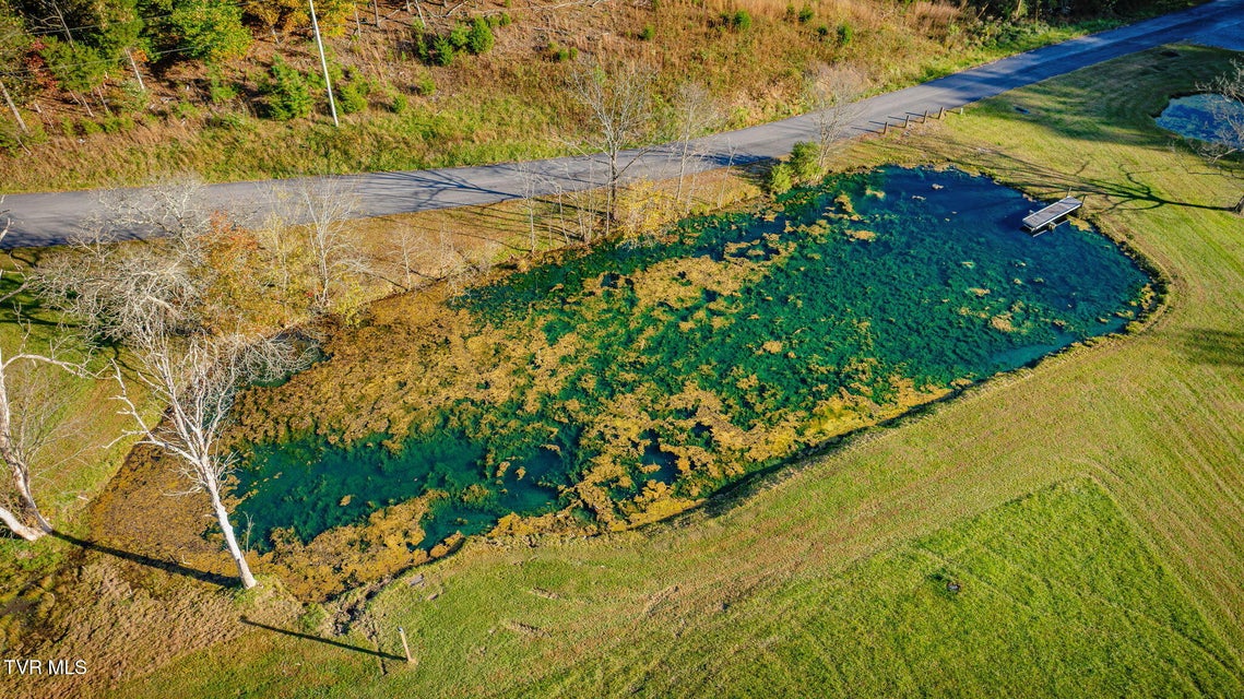 Photo #85: 367 Isley Drive