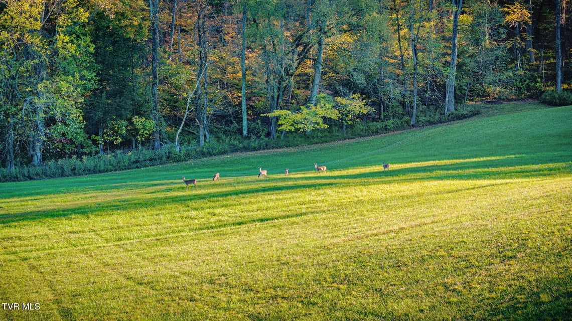 Photo #86: 367 Isley Drive