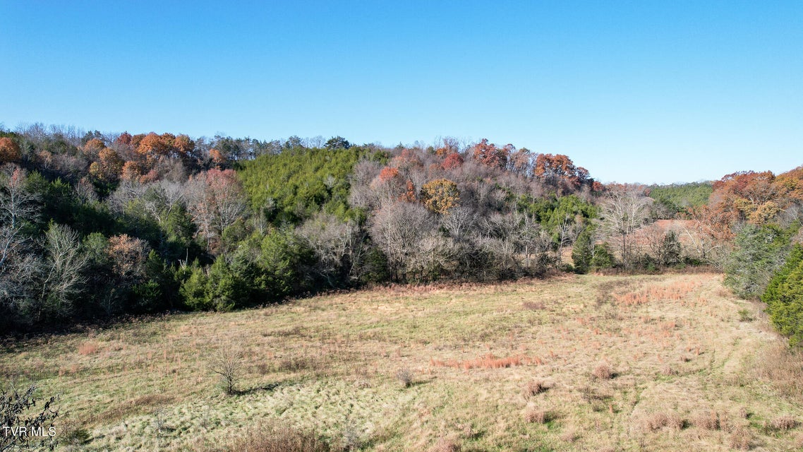 Photo #5: Lot 33 Sinking Springs Road