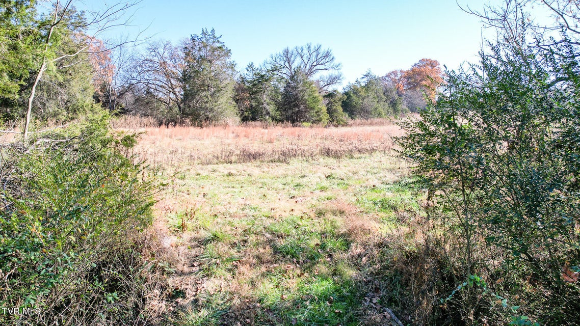 Photo #10: Lot 33 Sinking Springs Road