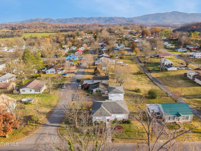 Photo #33: 328 Lincoln Avenue