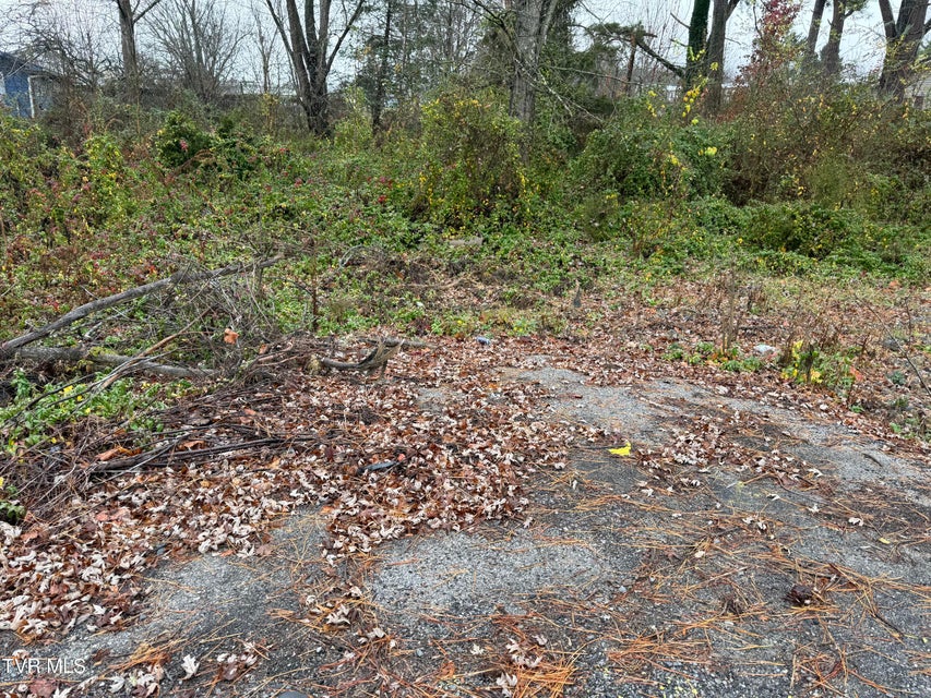 Photo #3: Tbd Bethel Drive