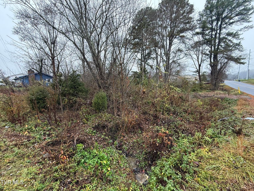 Photo #4: Tbd Bethel Drive