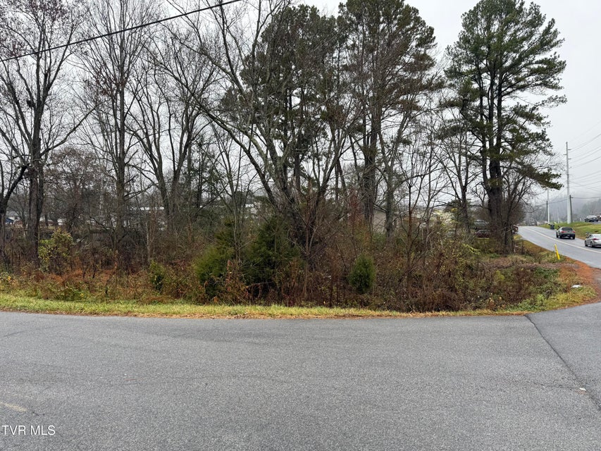 Photo #5: Tbd Bethel Drive