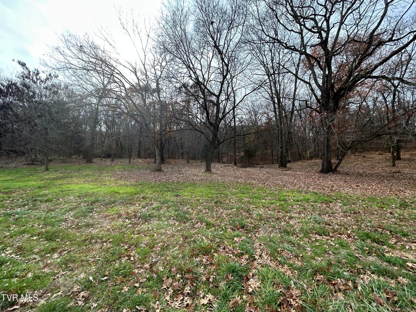 Photo #36: 635 McDonald Road