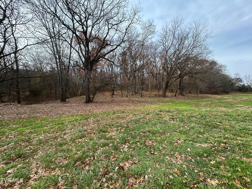 Photo #37: 635 McDonald Road