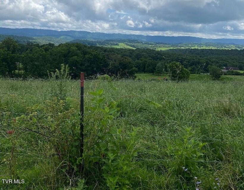 Photo #8: 00 Gillis Trail