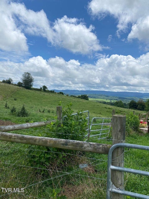 Photo #5: 00 Gillis Trail