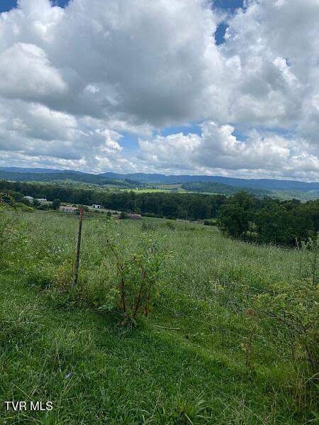 Photo #9: 00 Gillis Trail