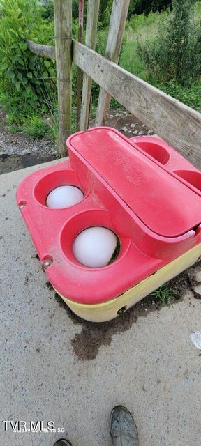 Photo #7: 00 Gillis Trail