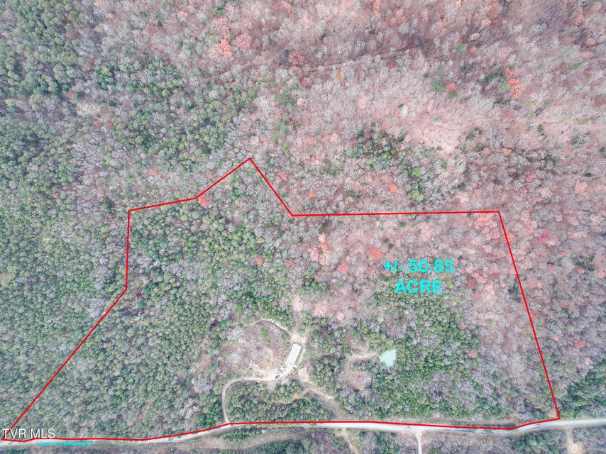 Photo #3: 750 Tom White Hollow Road Road