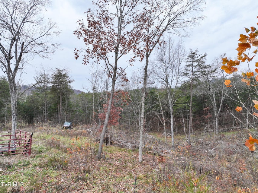 Photo #6: 750 Tom White Hollow Road Road