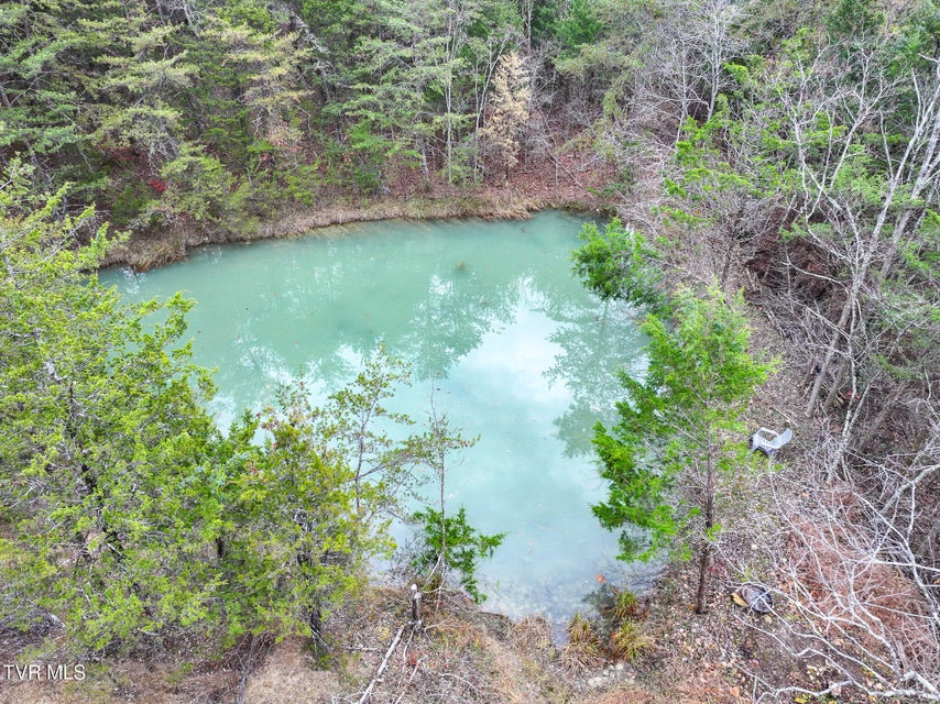 Photo #8: 750 Tom White Hollow Road Road