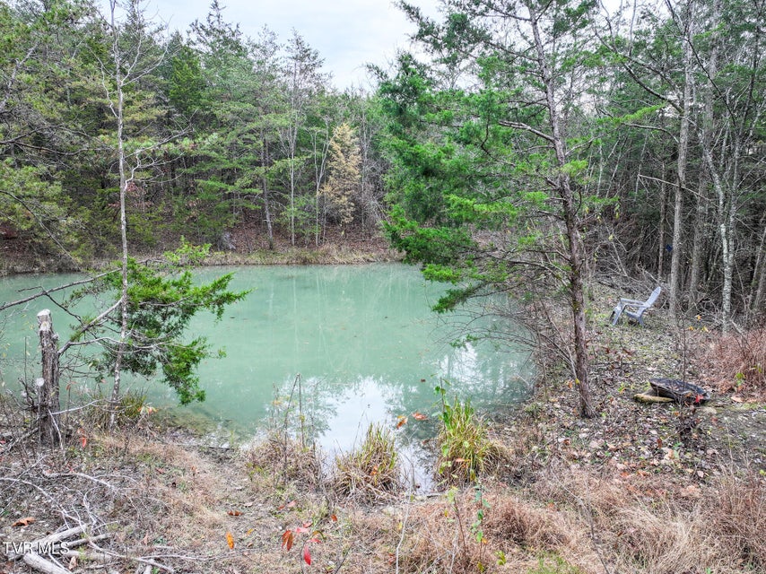 Photo #9: 750 Tom White Hollow Road Road